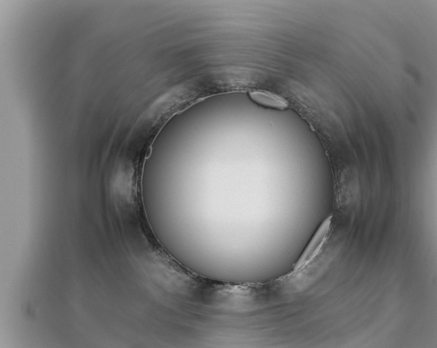 X0000112790140200908281515