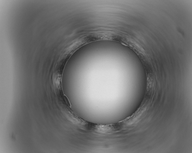 X0000112790141200908281515