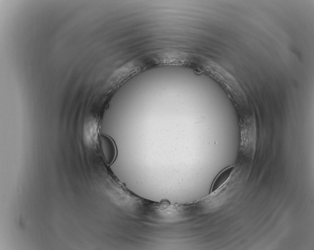 X0000112790142200908281515