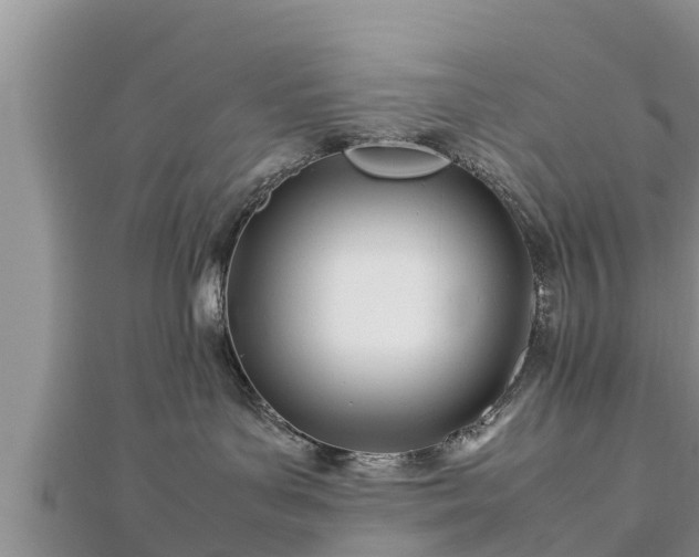 X0000112790143200908281515