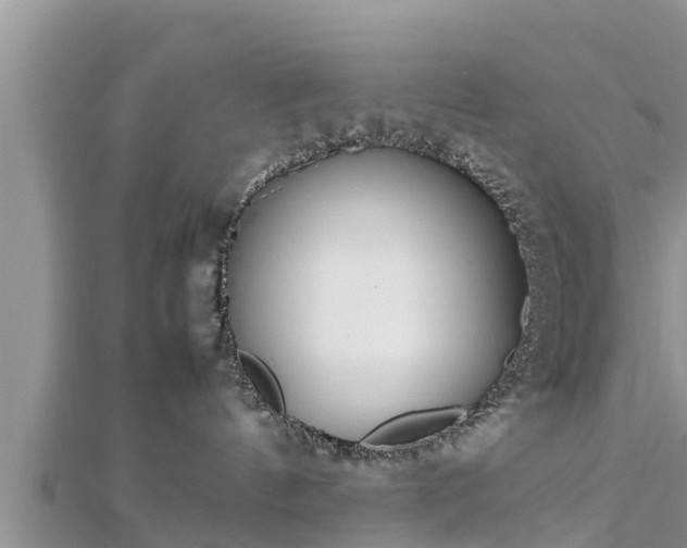 X0000112790144200908281515