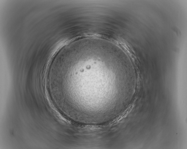 X0000112790145200908281514