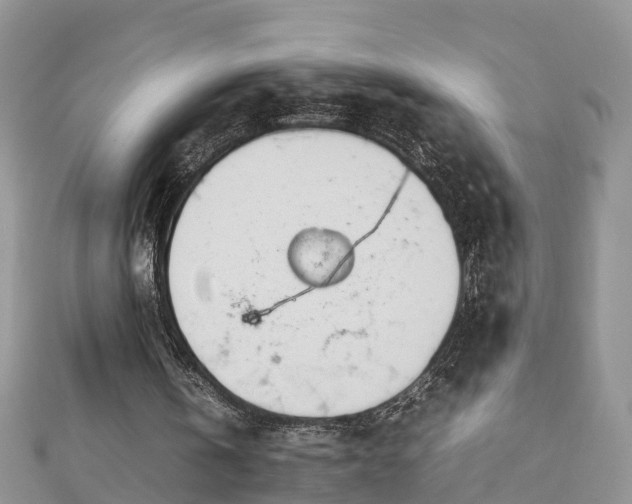 X0000112790146200908281514