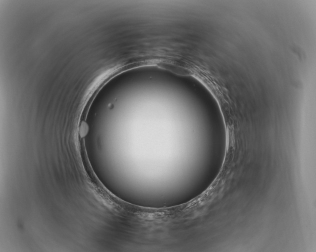 X0000112790147200908281514