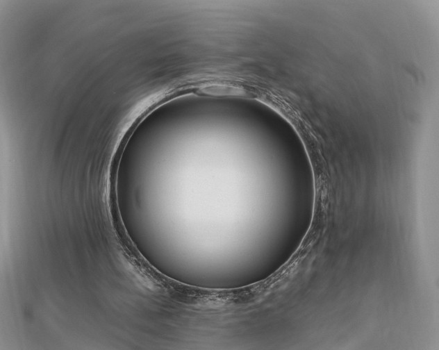 X0000112790148200908281514