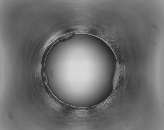 X0000112790150200908281514