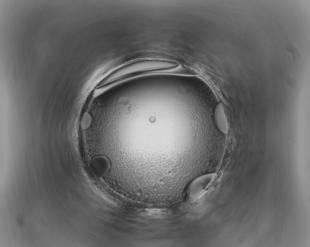 X0000112790151200908281514