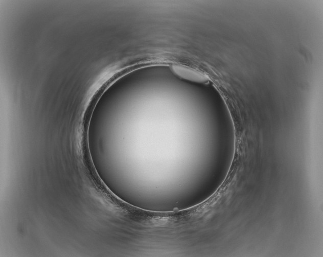 X0000112790152200908281514