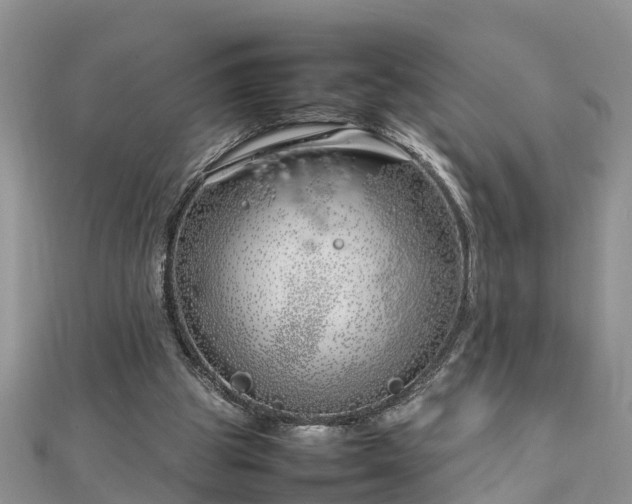 X0000112790153200908281514