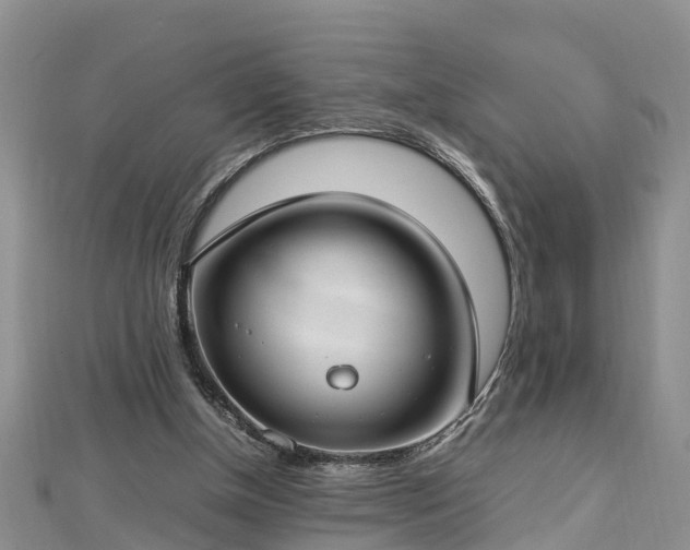 X0000112790154200908281514