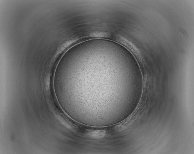 X0000112790155200908281514