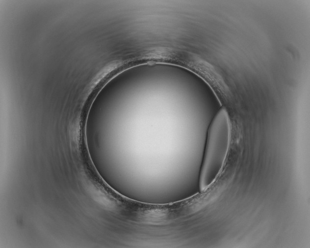 X0000112790156200908281514