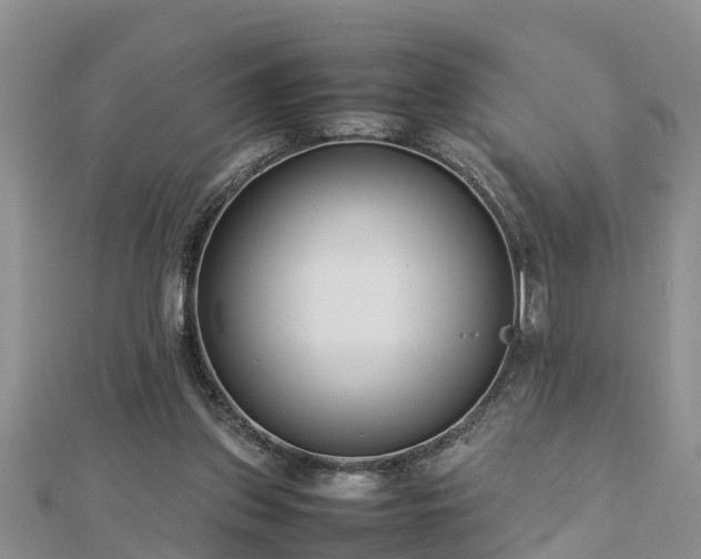 X0000112790157200908281514