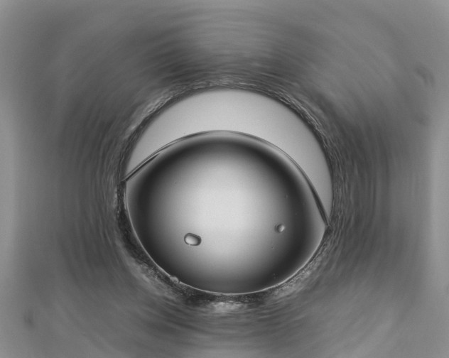 X0000112790158200908281514