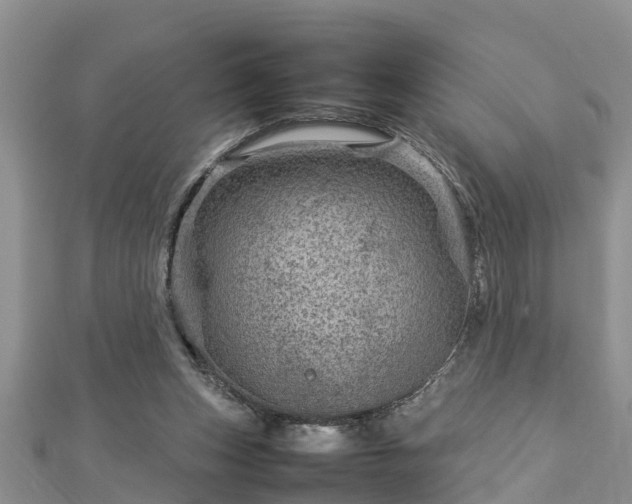 X0000112790159200908281514