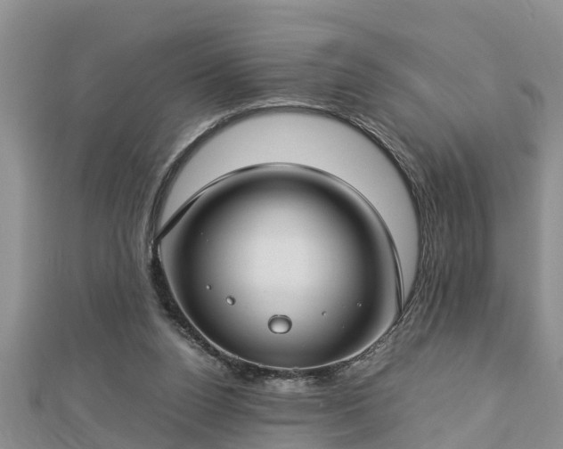 X0000112790160200908281514