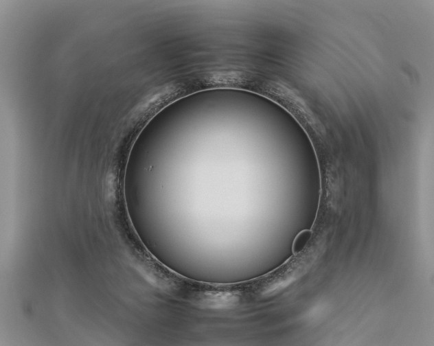 X0000112790161200908281514