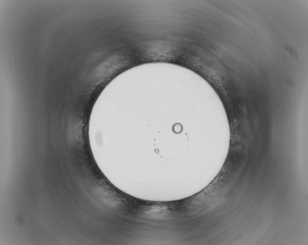 X0000112790162200908281514