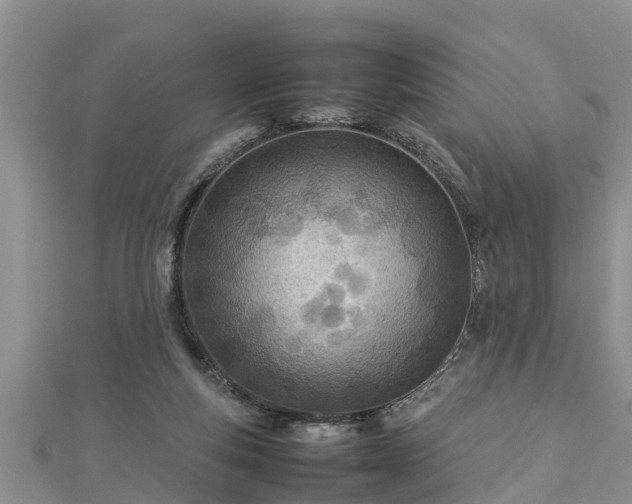 X0000112790163200908281514