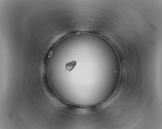 X0000112790164200908281514