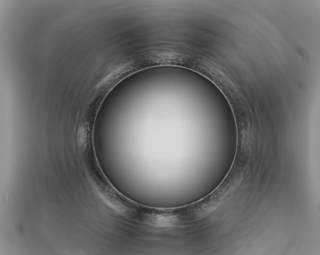 X0000112790165200908281514