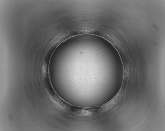 X0000112790166200908281514