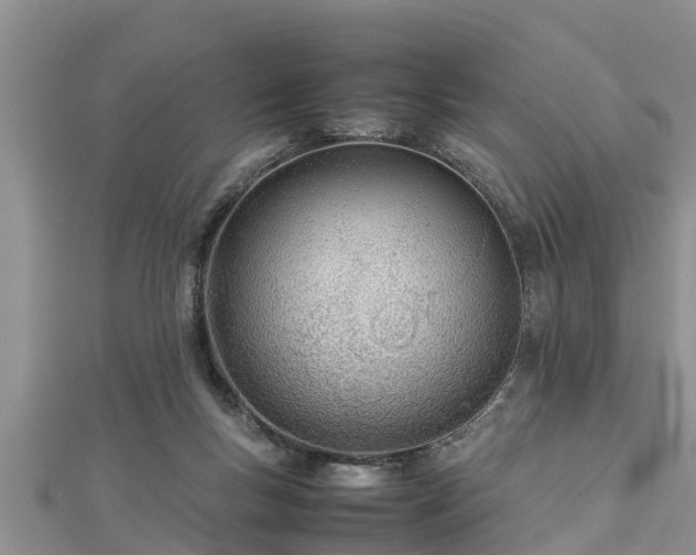 X0000112790167200908281514