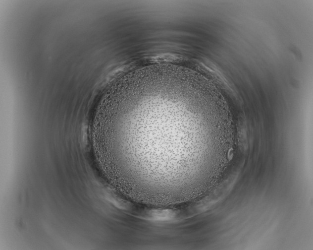 X0000112790169200908281514