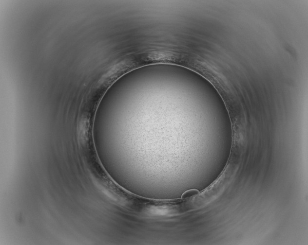 X0000112790171200908281514