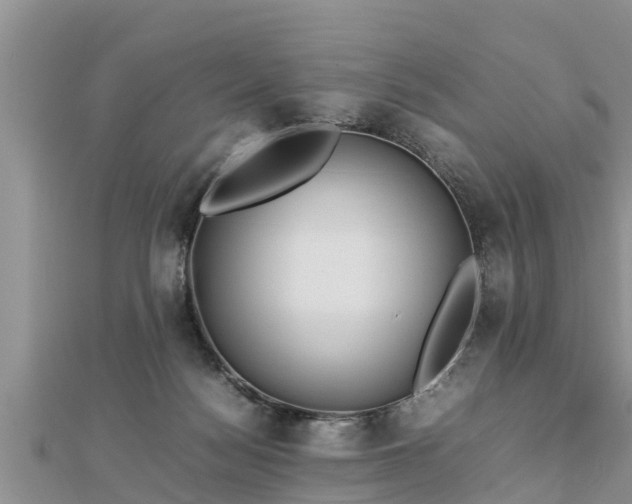 X0000112790172200908281514