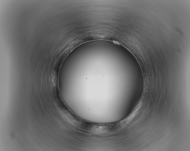 X0000112790174200908281514