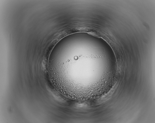 X0000112790175200908281514