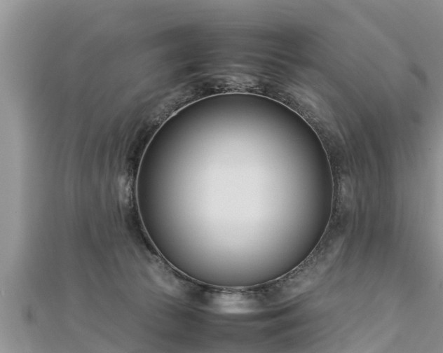 X0000112790177200908281514