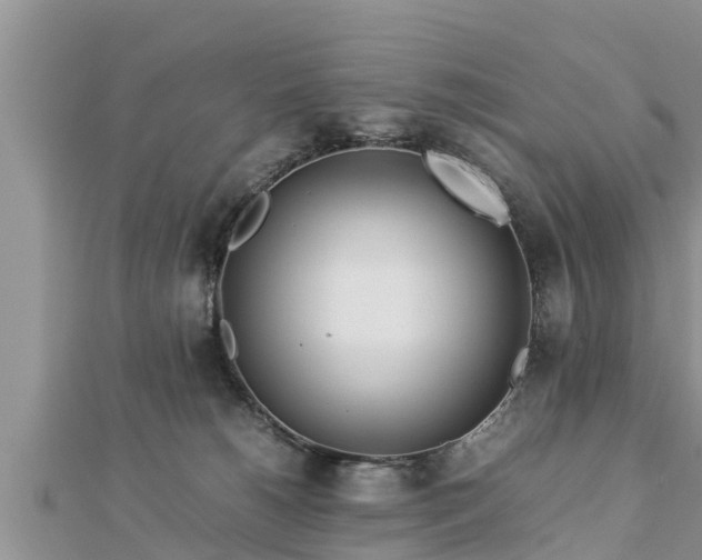 X0000112790180200908281514