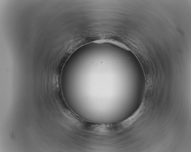 X0000112790182200908281514