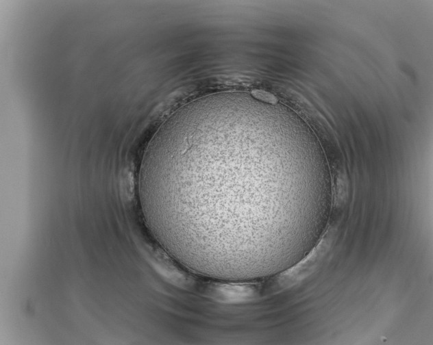 X0000112790183200908281514