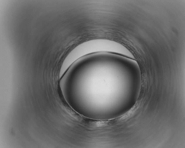 X0000112790184200908281514