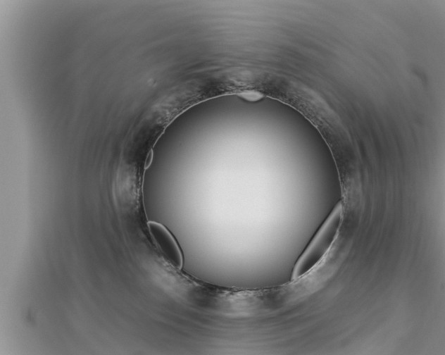 X0000112790186200908281514