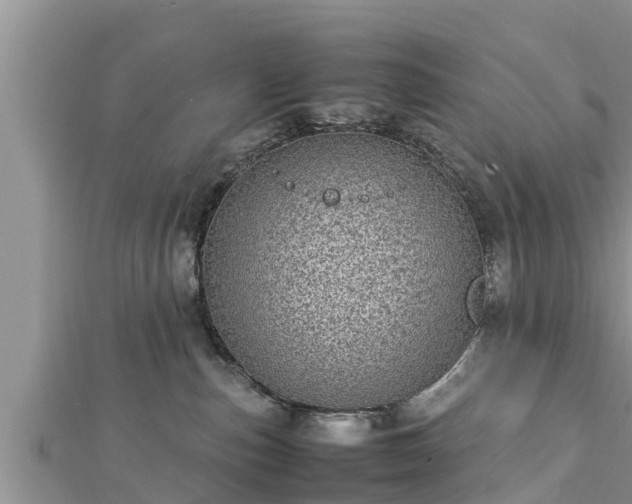 X0000112790187200908281514