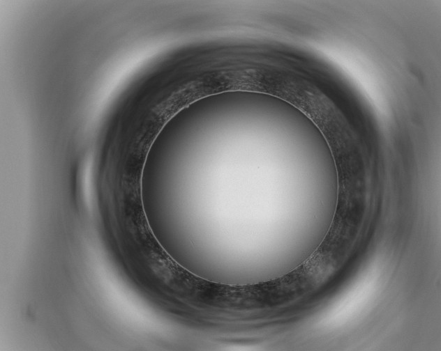 X0000112790189200908281514