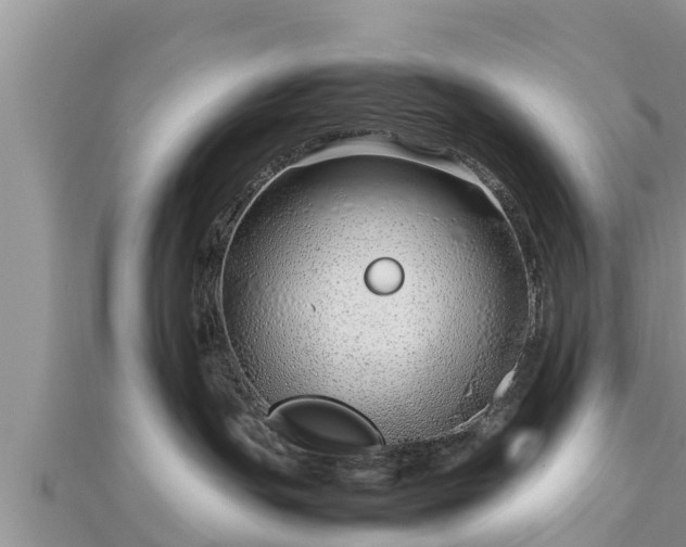 X0000112790191200908281515