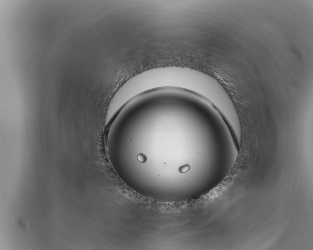 X0000112790192200908281515