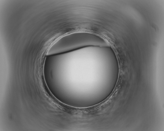 X0000112790193200908281514