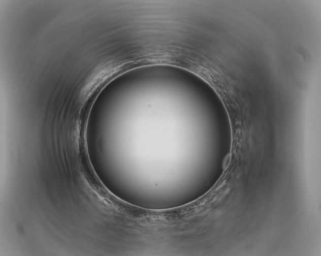 X0000112790194200908281514