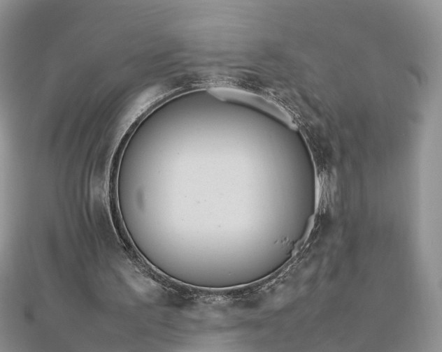 X0000112790195200908281514