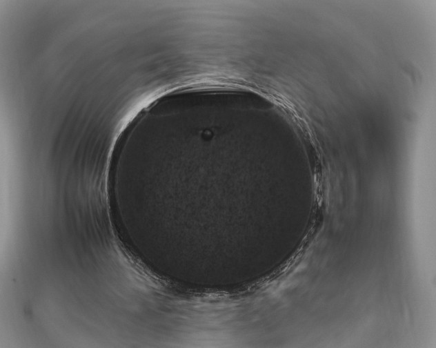 X0000112790196200908281514