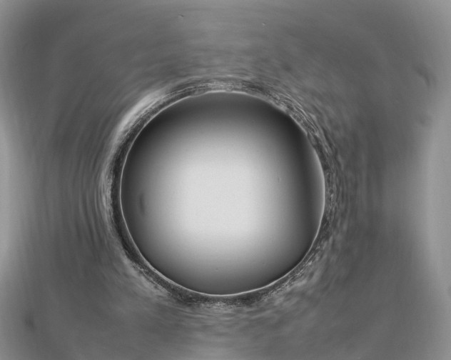 X0000112790197200908281514