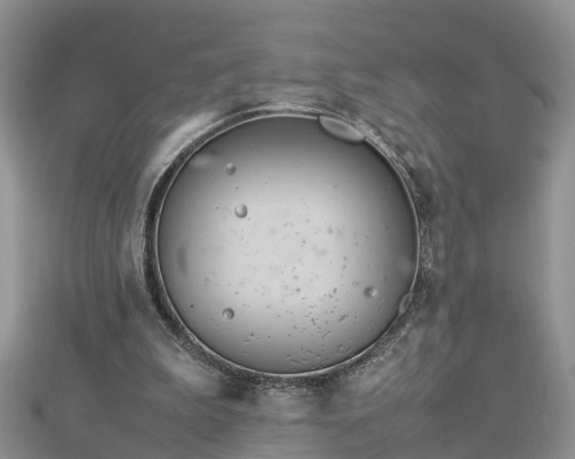 X0000112790199200908281514