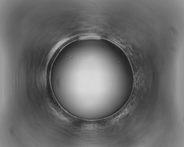 X0000112790200200908281514