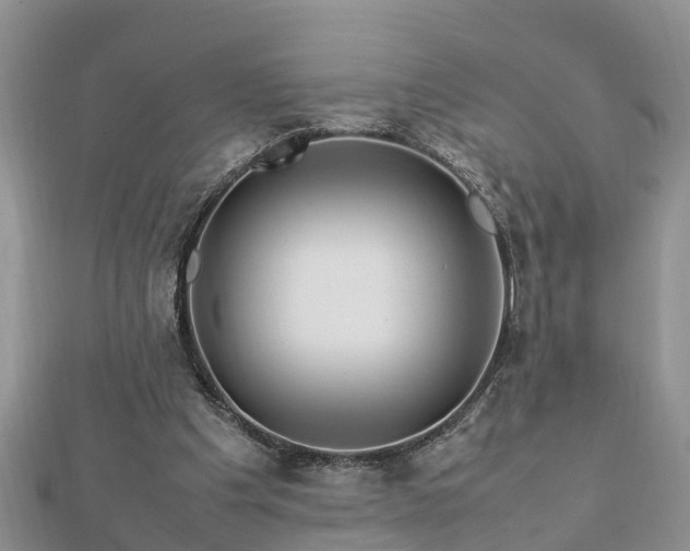 X0000112790201200908281514